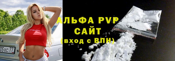 СК Бородино