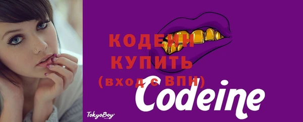 стаф Бронницы