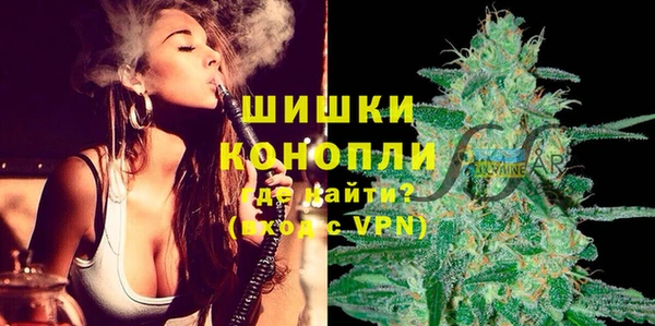 СК Бородино