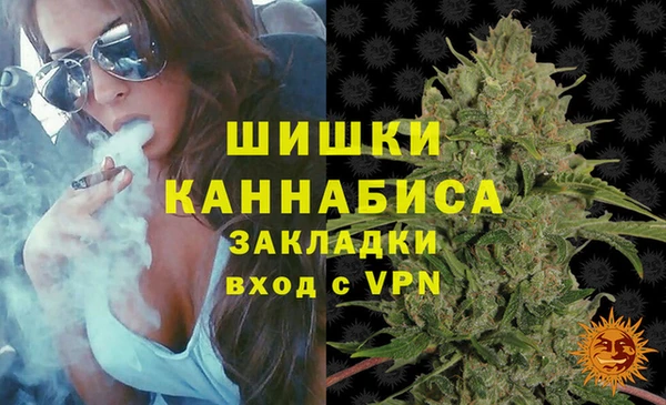 стаф Бронницы