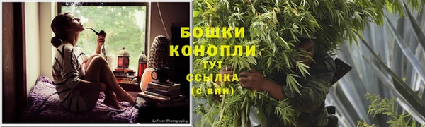 СК Бородино