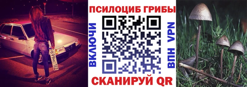 Псилоцибиновые грибы Cubensis  Сыктывкар 